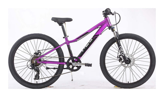 Neo Disc+ 24inch - Chrome Purple