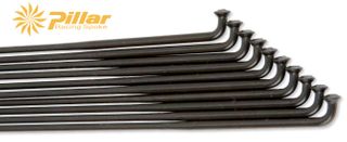 CUSTOM Pillar Upgrade - Double-butted Black Spoke Option (For Wheel Build only) NOT a Part. (Subject to length availablity)