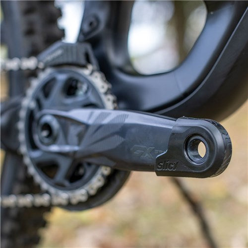 Crank Protector