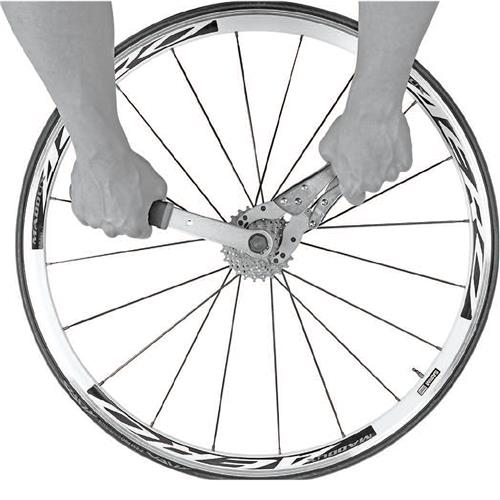 Freewheel Removal Tool