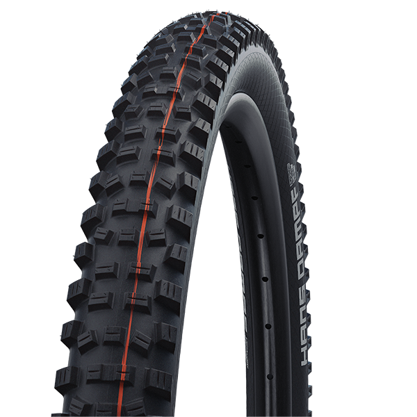 Schwalbe Hans Dampf Super Trail Addix Soft Evolution Line TL Easy E-25 »