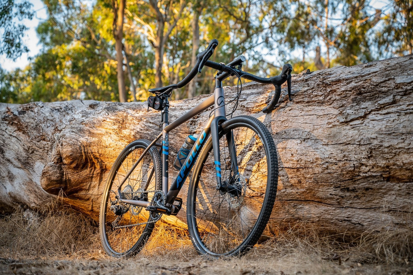 Scout 21X Matte Charcoal/Black/Blue