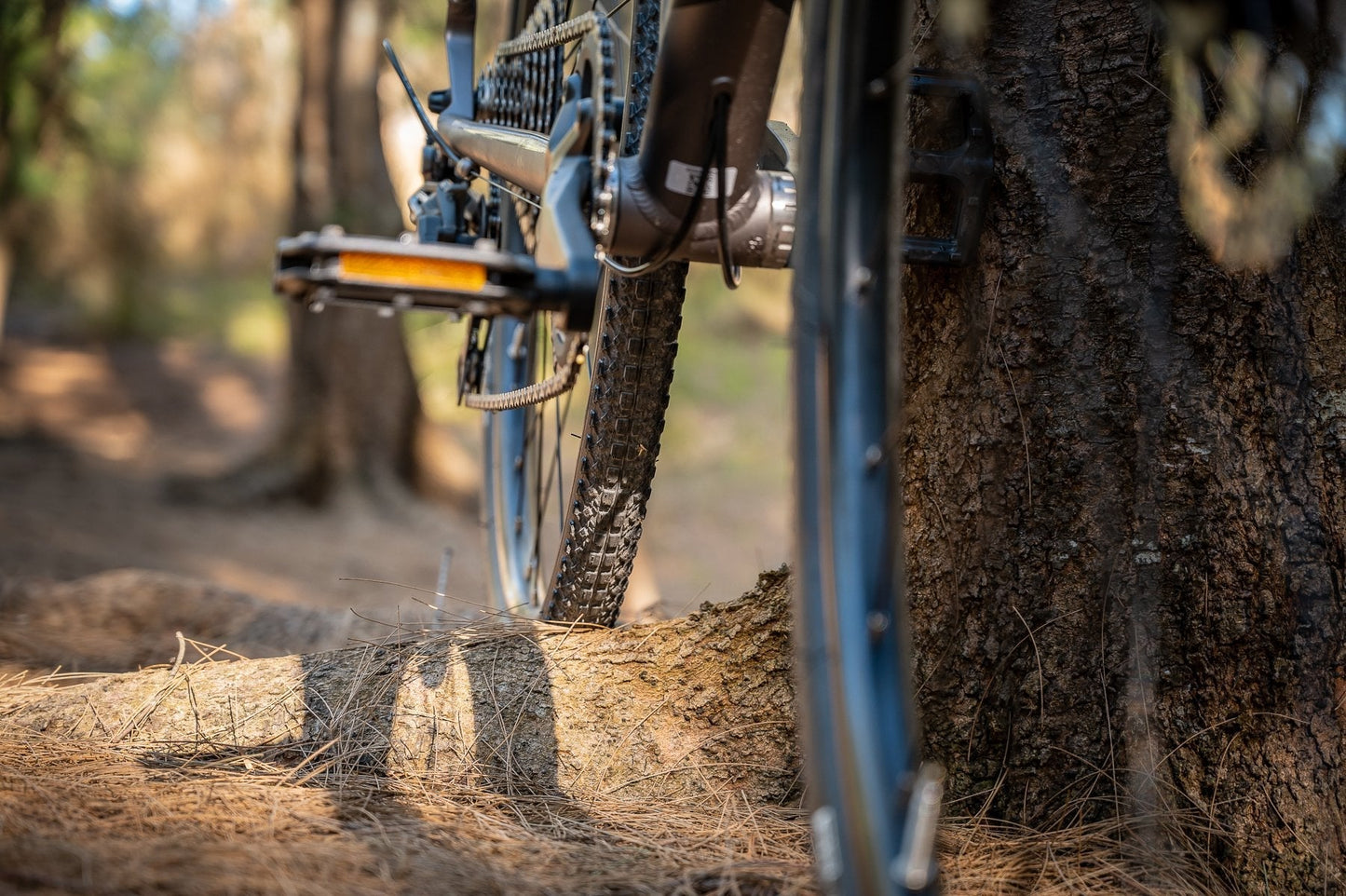 Scout 21X Matte Charcoal/Black/Blue