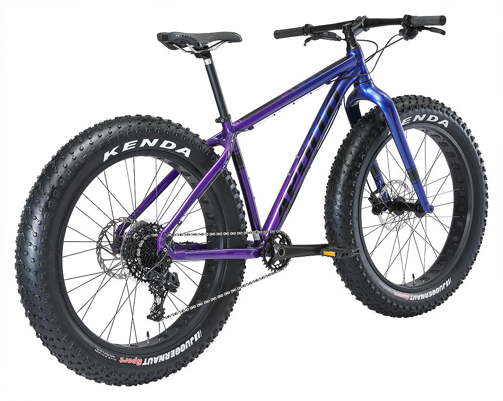 Stout 20 Gloss Navy Blue, Purple Fade / Black