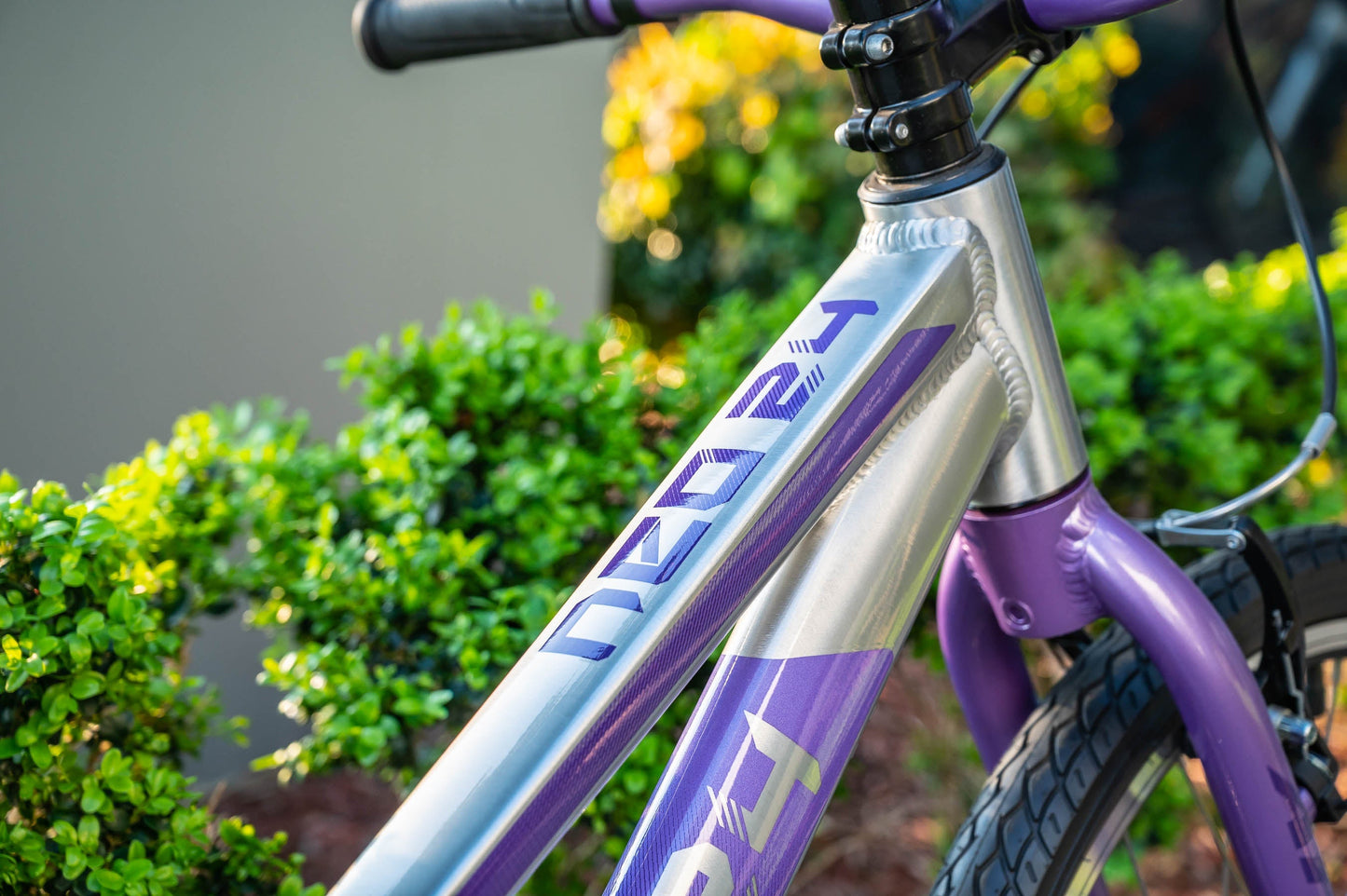 Neo+ 24 3i Girls Brushed Alloy / Lavender, Purple Fade