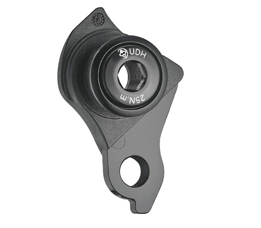 Rear Derailleur Hanger NYLON/ALLOY - for UDH, M12 x P1.0, matt black, w/screw & washer