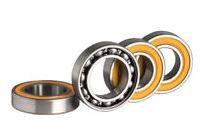 Ball Bearing 6802 SINC Ceramic 15x24x5mm