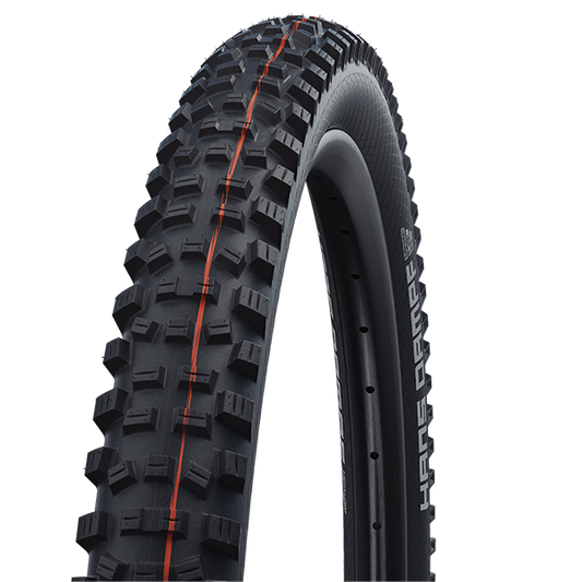 Schwalbe Hans Dampf Super Trail Addix Soft Evolution Line TL Easy E-25 »