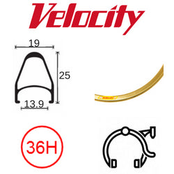 RIM 700c x 14mm - VELOCITY FUSION - 36H - (622 x 14) - Presta Valve - Rim Brake - D/W - BRIGHT GOLD